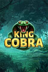 King Cobra - Online Pokie